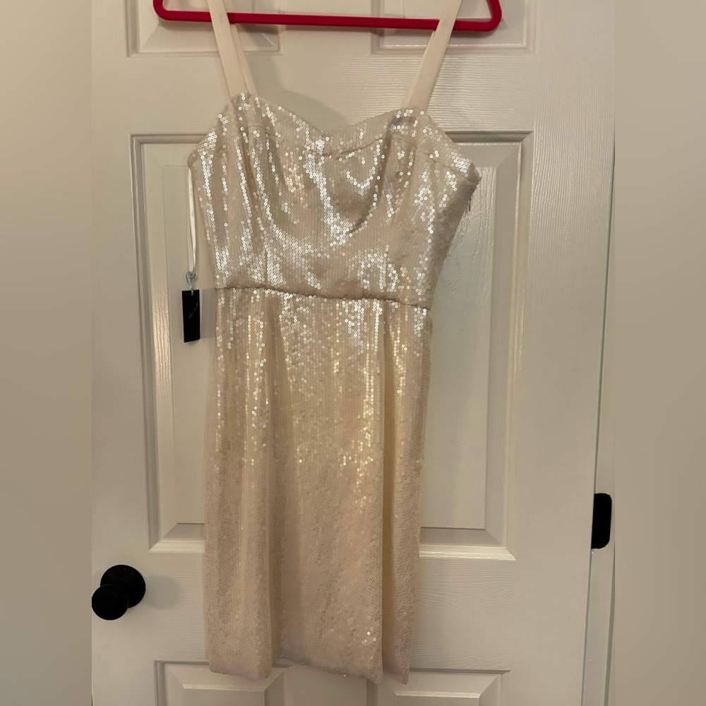 Sequin La Coquine dress, owned by Kim Kardashian